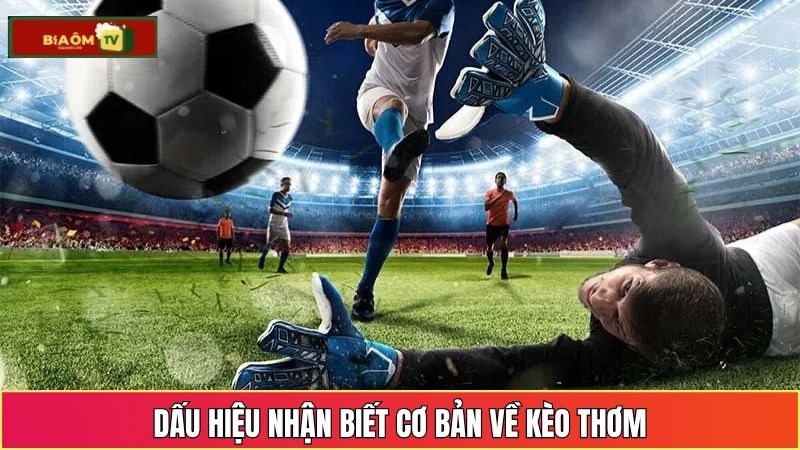 Cách Nhận Biết Và Soi Kèo Thơm Hiệu Quả Mỗi Ngày Khi Chơi